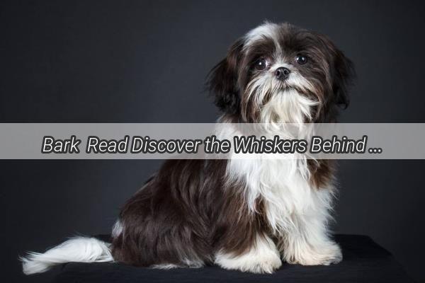 Bark  Read Discover the Whiskers Behind the Name